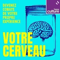 2/6 : L'anxiété a des effets secondaires sur le travail de votre cerveau