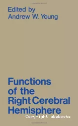 Functions of the right cerebral hemisphere